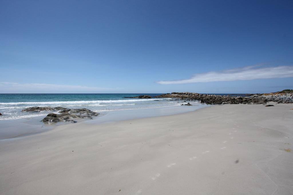 Saltwater - Absolute Oceanfront, Fire Pits, Some Villas With Hot Tubs And Sauna Falmouth Eksteriør billede