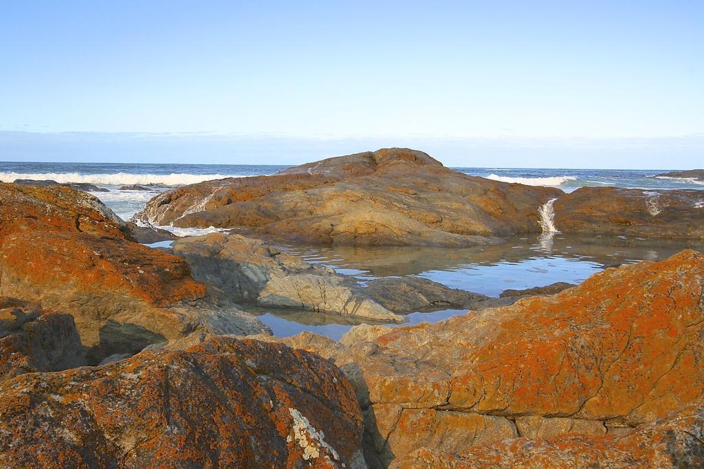 Saltwater - Absolute Oceanfront, Fire Pits, Some Villas With Hot Tubs And Sauna Falmouth Eksteriør billede
